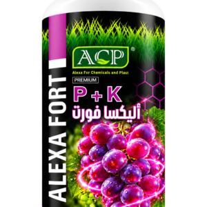 اليكسا فورت