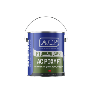 إيه سي بوكسي P1